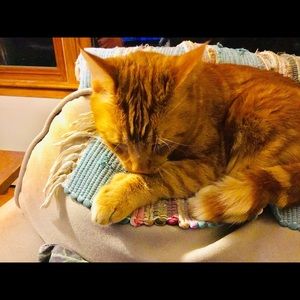 Meet your Posher, Ari